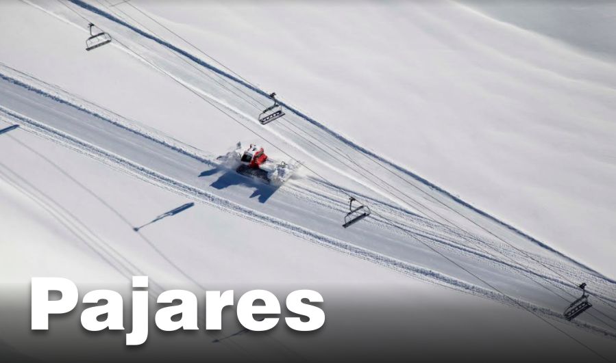 PAJARES_INTERIOR.jpg