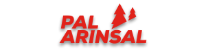 pal_arinsal_logotipo.png